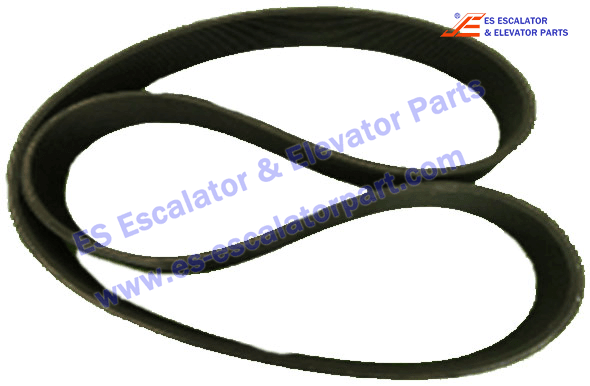 Escalator Poly Belt 12RIB L=1943mm Use For FT722 Use For THYSSENKRUPP