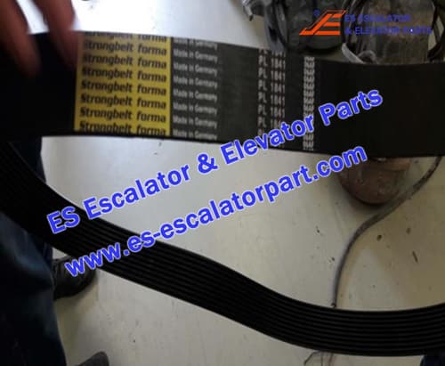 Escalator TUGELA 945 poly-V belt 12 grooved Use For THYSSENKRUPP
